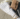 SASAtrend