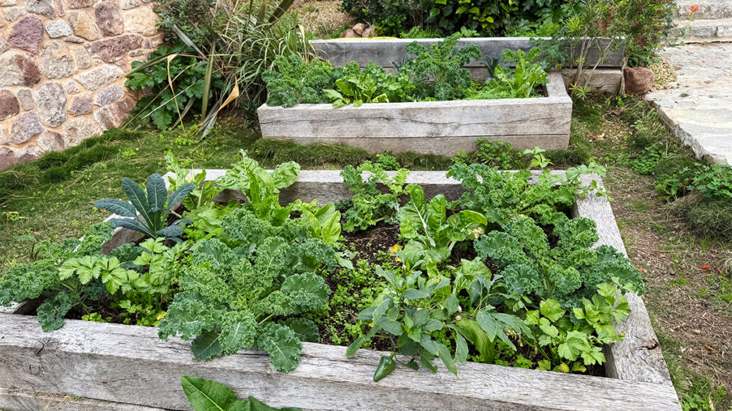 „Mein Gemüse-Fleckchen“ nennt sie liebevoll ihren Kleingarten, in dem sie frisches Gemüse anbaut. Kochen ist eine weitere Leidenschaft.