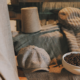 Coffee Capsule